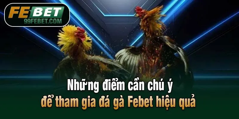 Những điểm cần chú ý để tham gia đá gà Febet hiệu quả 